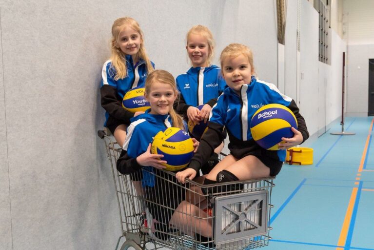Team N3.1
